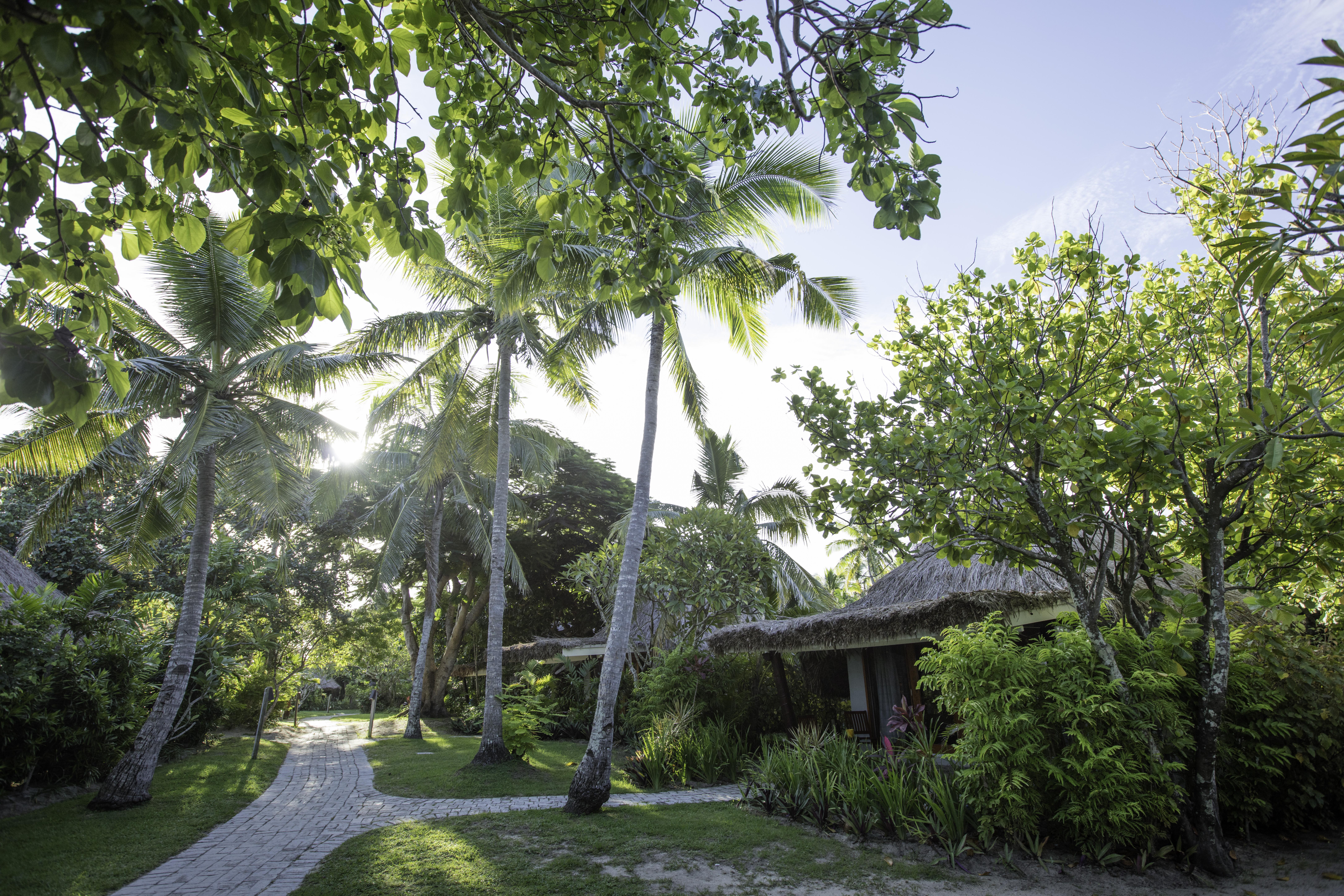 Castaway Island, Fiji Hotel Exterior photo